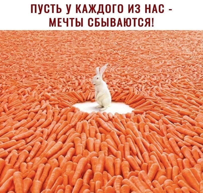 Ох уж эти Мечты…